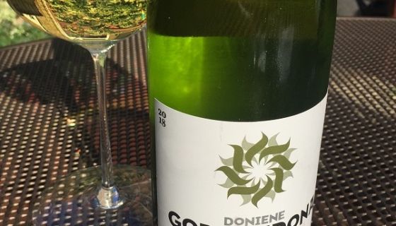 Doniene Gorrondona 2017/18 Bizkaiko Txakolina | Jancis Robinson